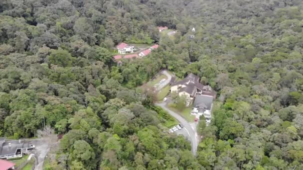 Drone Uitzicht Huizen Tussen Tropisch Groen — Stockvideo