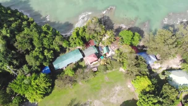 在海岸线上被绿树环绕的房屋的惊人的空中景象 — 图库视频影像