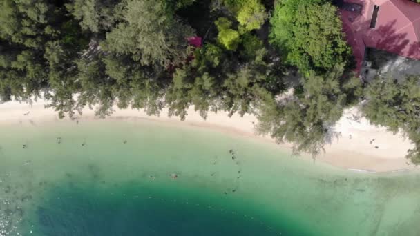 Vista Aérea Tirar Fôlego Praia Areia Branca Vegetação Nas Proximidades — Vídeo de Stock