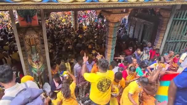 Foule Communauté Hindoue Est Rassemblée Proximité Temple Murugan Pour Thaipusam — Video