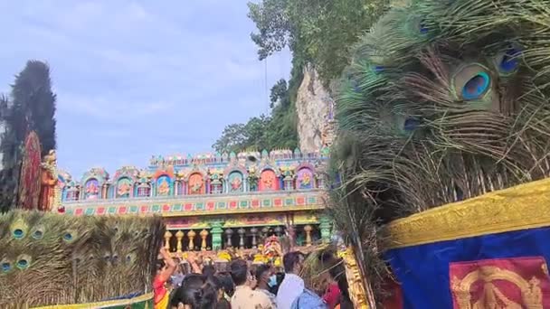 Hindu Anhänger Versammelten Sich Kavadi Geschmückt Mit Schönen Pfauenfedern — Stockvideo
