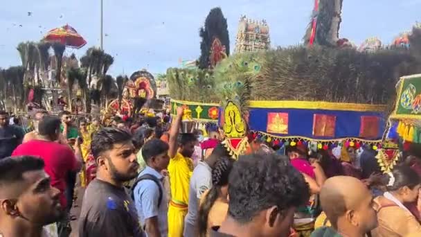 Dévots Hindous Sud Asiatiques Portant Kavadi Décoré Plumes Paon — Video