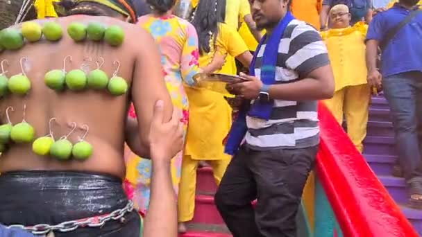Tamilski Hinduski Wielbiciel Kolczykiem Plecach Aby Uczcić Thaipusam — Wideo stockowe