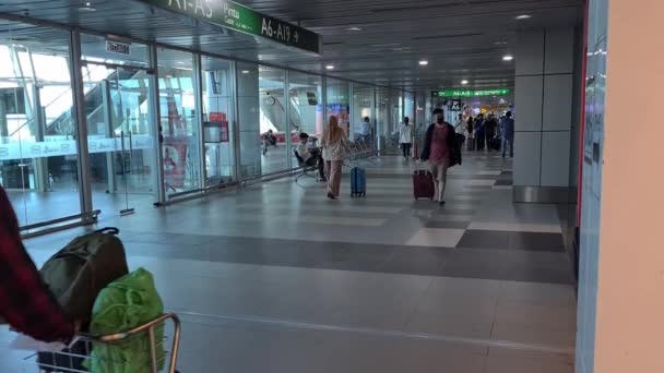 Reizigers Die Met Hun Bagage Luchthaven Lopen — Stockvideo