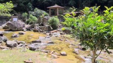 Suyun güzel manzarası ve yakınlardaki yeşillikler.