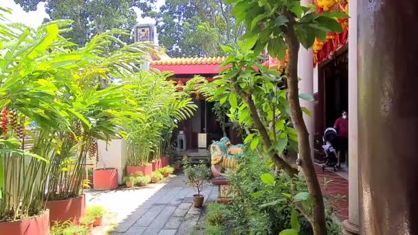 启洛寺入口处装饰的植物 — 图库视频影像