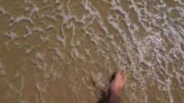 Чоловік Йде Пляжі Хвилями Торкаються Його Ніг — стокове відео