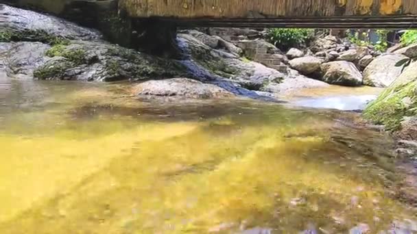 Úžasný Pohled Vodu Tekoucí Tropických Hor — Stock video