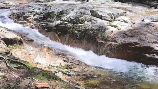 热带山区河流的迷人景色 — 图库视频影像