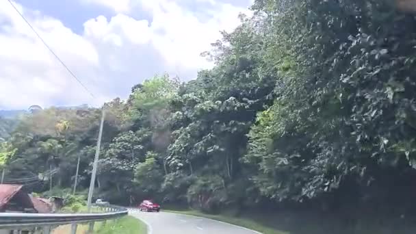 从被热带雨林环绕着的公路上的车看前面的窗户 — 图库视频影像