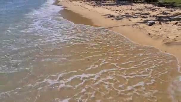 Fale Morskie Dotykają Wybrzeża Morskiego Ciągu Dnia — Wideo stockowe