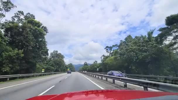 从汽车上看被绿叶环绕的道路 — 图库视频影像