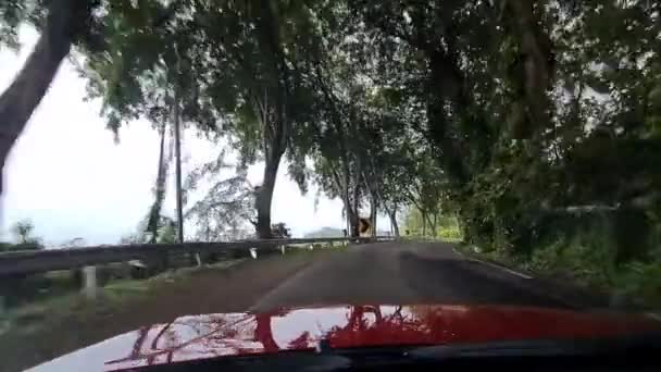 在阳光明媚的日子里 从一辆红色轿车上看到的窗口 — 图库视频影像
