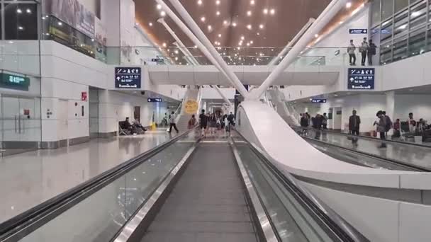 Hombre Caminando Por Ascensor Aeropuerto — Vídeos de Stock