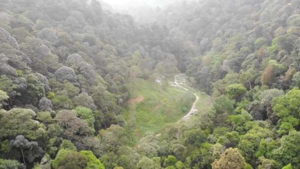 Drone Tropicale Veduta Del Verde Una Foresta Sempreverde Retromarcia — Video Stock