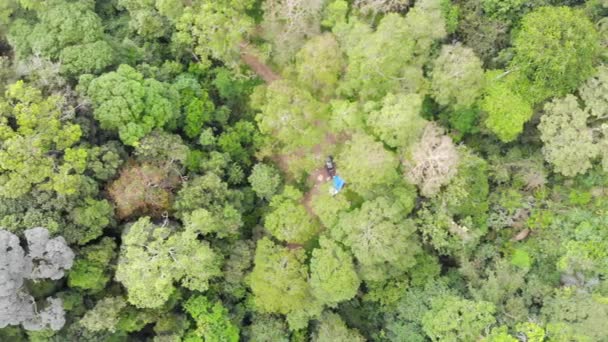 Paradiso Tropicale Veduta Aerea Della Foresta Gombak Selangor — Video Stock
