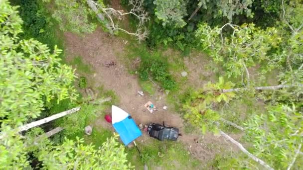 緑と背の高い木に囲まれたキャンプの美しい空の景色 ロイヤリティフリーのストック動画