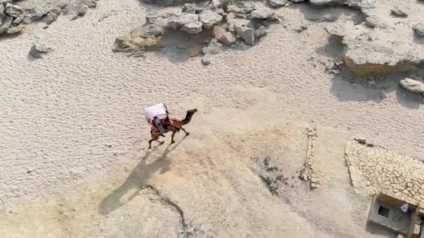 Luftaufnahme Des Kamelwanderns Auf Sandiger Und Felsiger Oberfläche — Stockvideo