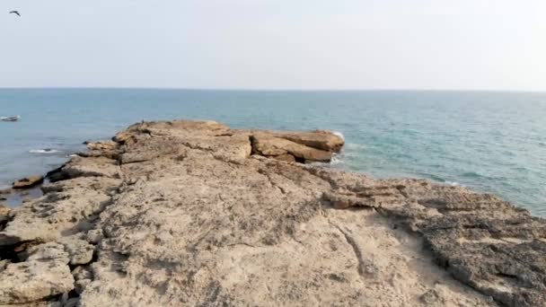 海岸附近褐色岩石表面的惊人景象 向后移动 — 图库视频影像