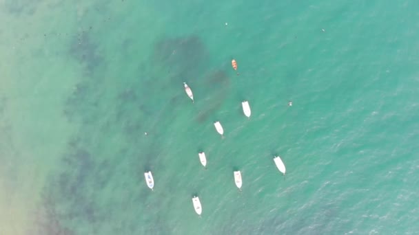 Schöne Luftaufnahme Weißer Boote Blauem Strandwasser — Stockvideo