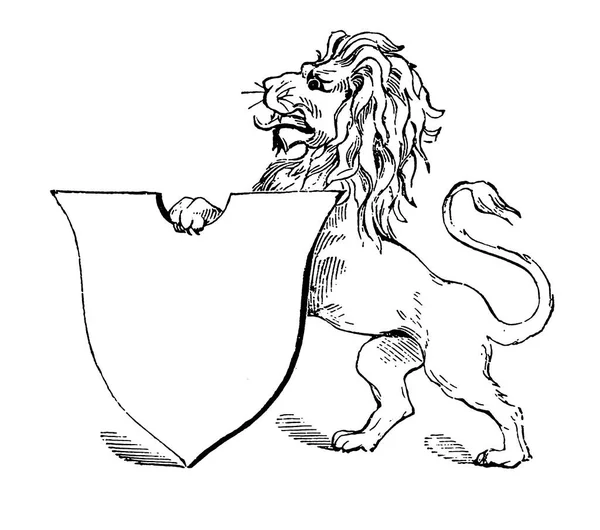 Antique 19Th Century Engraving Lion Published Proben Album Buchdruckerei Julius — Stock fotografie