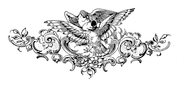 Antique 19th-century engraving of vignette with doves. Published in Proben-Album, Buchdruckerei Julius Klinkhardt, Leipzig, Germany (1881).