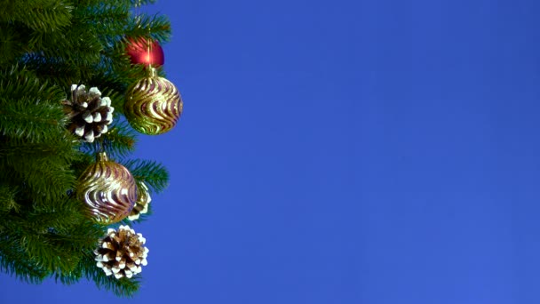 在蓝色的背景上 一个圣诞树枝装饰着圣诞装饰品色键 — 图库视频影像