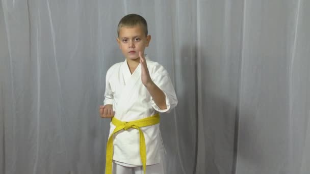 Light Background Athlete Karategi Yellow Belt Performs Punches — Stockvideo