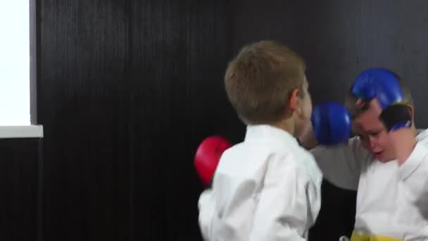 Два Спортсмени Червоними Синіми Подушечками Руках Виконують Активні Парні Вправи — стокове відео