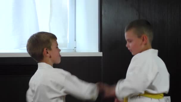 Два Мальчика Спортсмена Выполняют Активные Парные Упражнения — стоковое видео