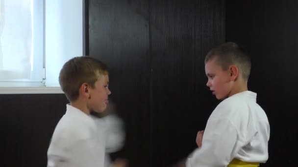 两个运动员男孩徒手训练积极的双人练习 — 图库视频影像