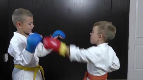 Boys Athletes Blue Red Pads Hands Train Paired Exercises Punches — Stok video