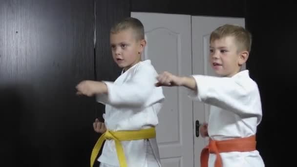 Boys Athletes Yellow Red Belts Train Punches — Stockvideo
