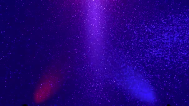 黒の微粒な背景に 赤紫色 青の光の点滅する光線 — ストック動画