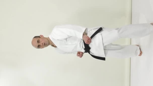 Idrottsman Karategi Utför Sparkar Och Handblock Vertikal Projektion — Stockvideo