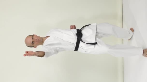 Karategi Bir Atlet Dikey Bir Projeksiyonla Ellerine Tekme Atar — Stok video