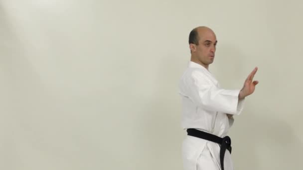 Ejercicio Formal Realizado Por Atleta Karategi — Vídeo de stock