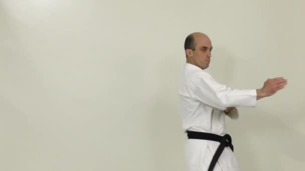 Een Formele Oefening Wordt Uitgevoerd Door Een Atleet Karategi — Stockvideo