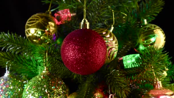 Červený Zrnitý Vánoční Míč Rotuje Pozadí Větví Vánočních Stromků Zdobených — Stock video