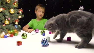 Yeni yıl ağacının yanında, küçük bir çocuk ve gri bir kedi yeni yıl oyuncaklarıyla oynuyorlar.