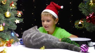 Noel Baba şapkalı bir çocuk büyük süslü bir Noel ağacının yanında kediyle oynuyor. 