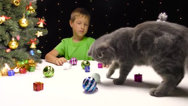 Vlakbij Nieuwjaarsboom Spelen Een Jongetje Een Grijze Kat Met Nieuwjaarsspeelgoed — Stockvideo
