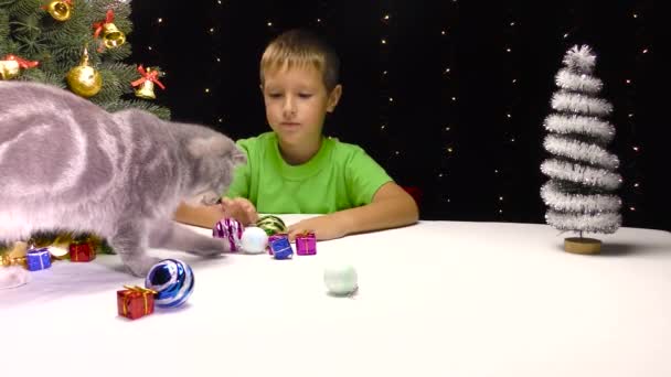 一个小男孩在圣诞树旁和一只猫玩耍 — 图库视频影像