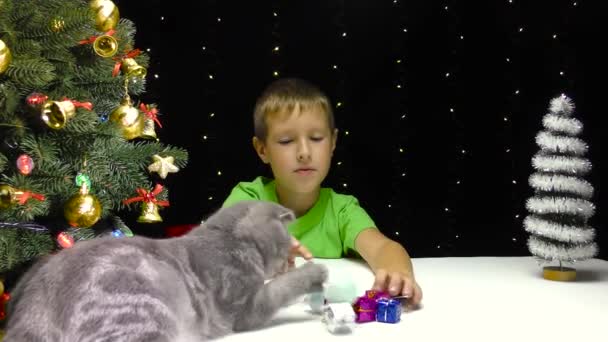 Маленький Хлопчик Грає Кішкою Новорічними Прикрасами — стокове відео