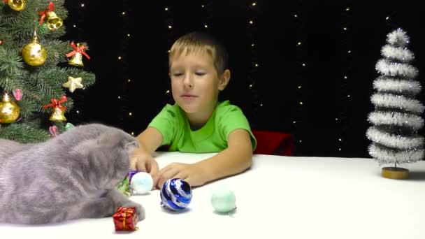 Ein Kleiner Junge Spielt Mit Einer Katze Mit Neujahrsbällen — Stockvideo