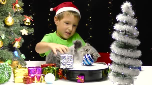 Ragazzo Con Cappello Babbo Natale Gioca Con Gatto Con Decorazioni — Video Stock