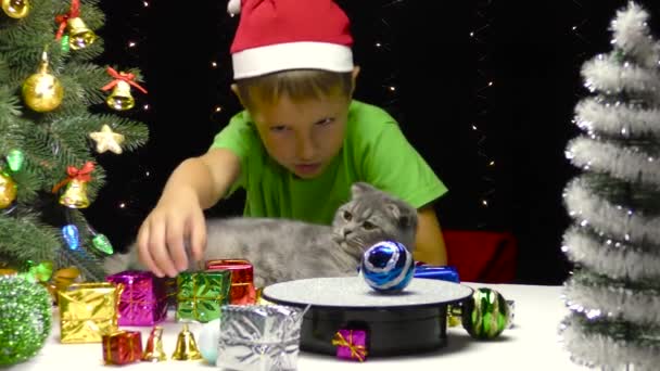 一个戴着圣诞老人帽子的男孩与一只装饰着不同圣诞树的猫玩耍 — 图库视频影像