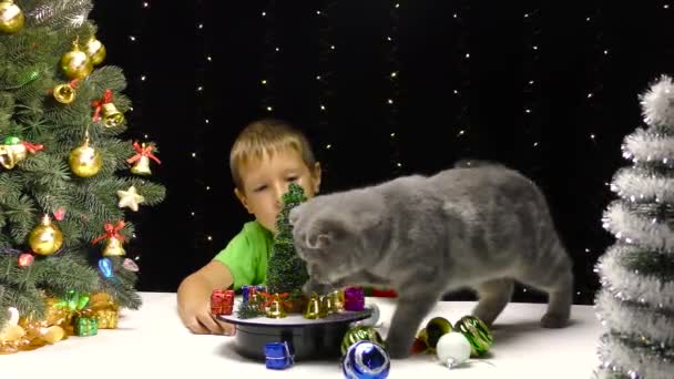 Ein Junge Beobachtet Eine Katze Die Weihnachtsschmuck Von Der Oberfläche — Stockvideo
