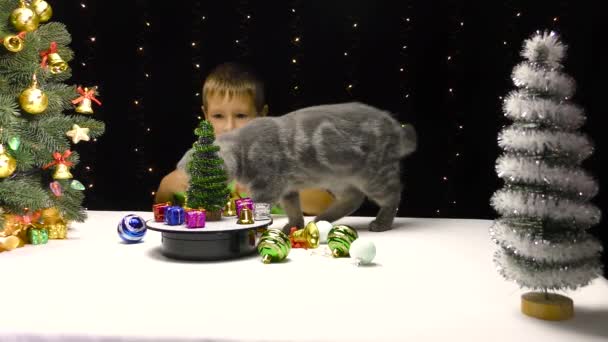 Ein Junge Beobachtet Eine Katze Die Mit Einer Neujahrsglocke Spielt — Stockvideo