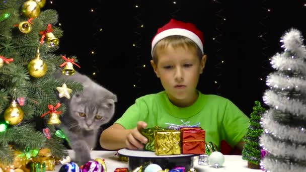 Eine Katze Läuft Der Nähe Eines Jungen Mit Nikolausmütze — Stockvideo